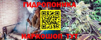 марихуана Нальчик